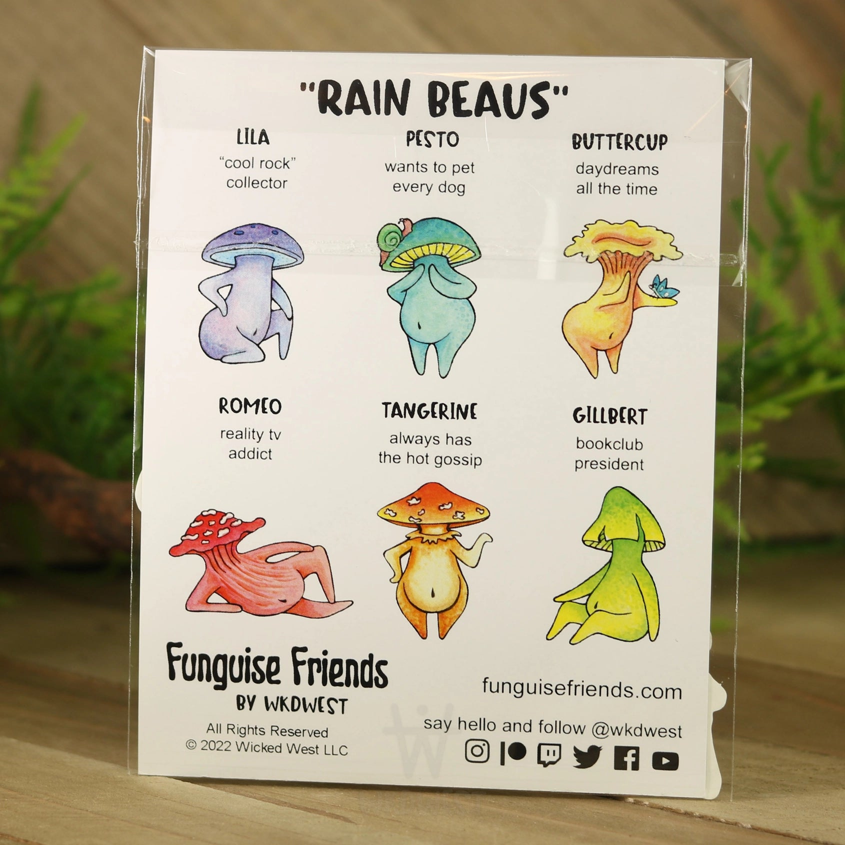 Vinyl FunguiseĀ® Sticker Pack - "Rain Beaus"