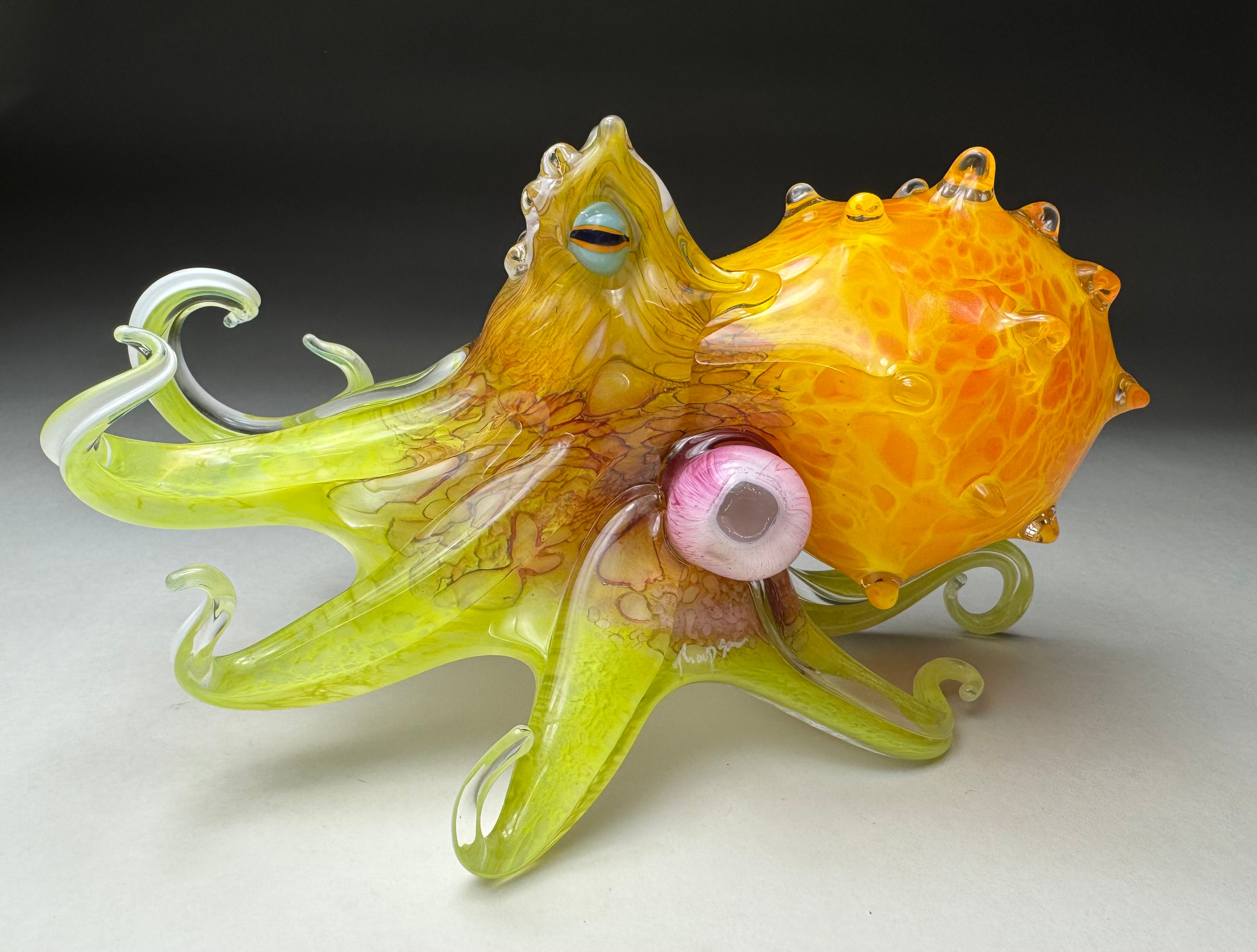 Sunset Octopus by Thompson Studio