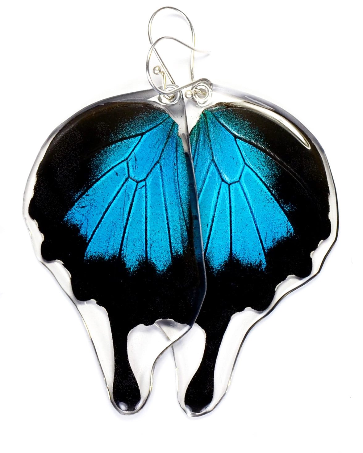 Mountain Blue Swallowtail Butterfly Earrings