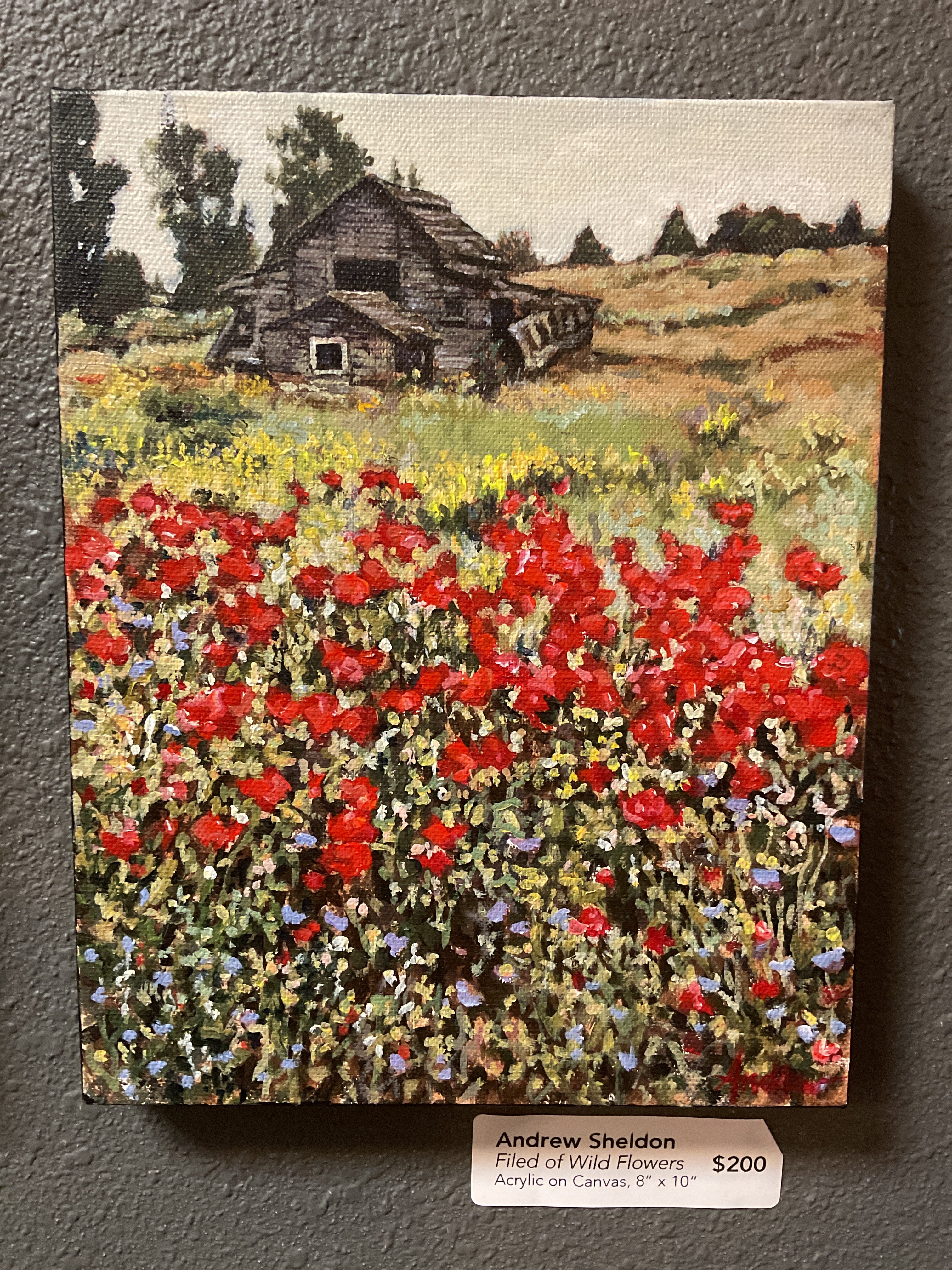 Field of Wild Flowers By Andrew Sheldon