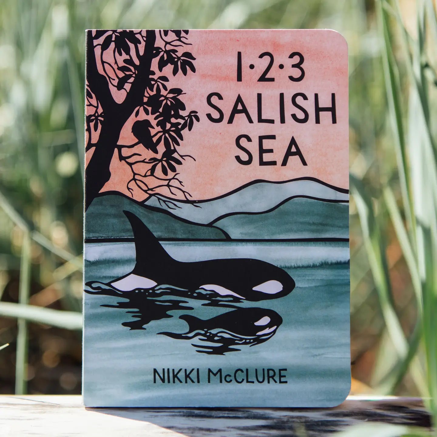 1,2,3 Salish Sea: A Counting Book For Toddlers