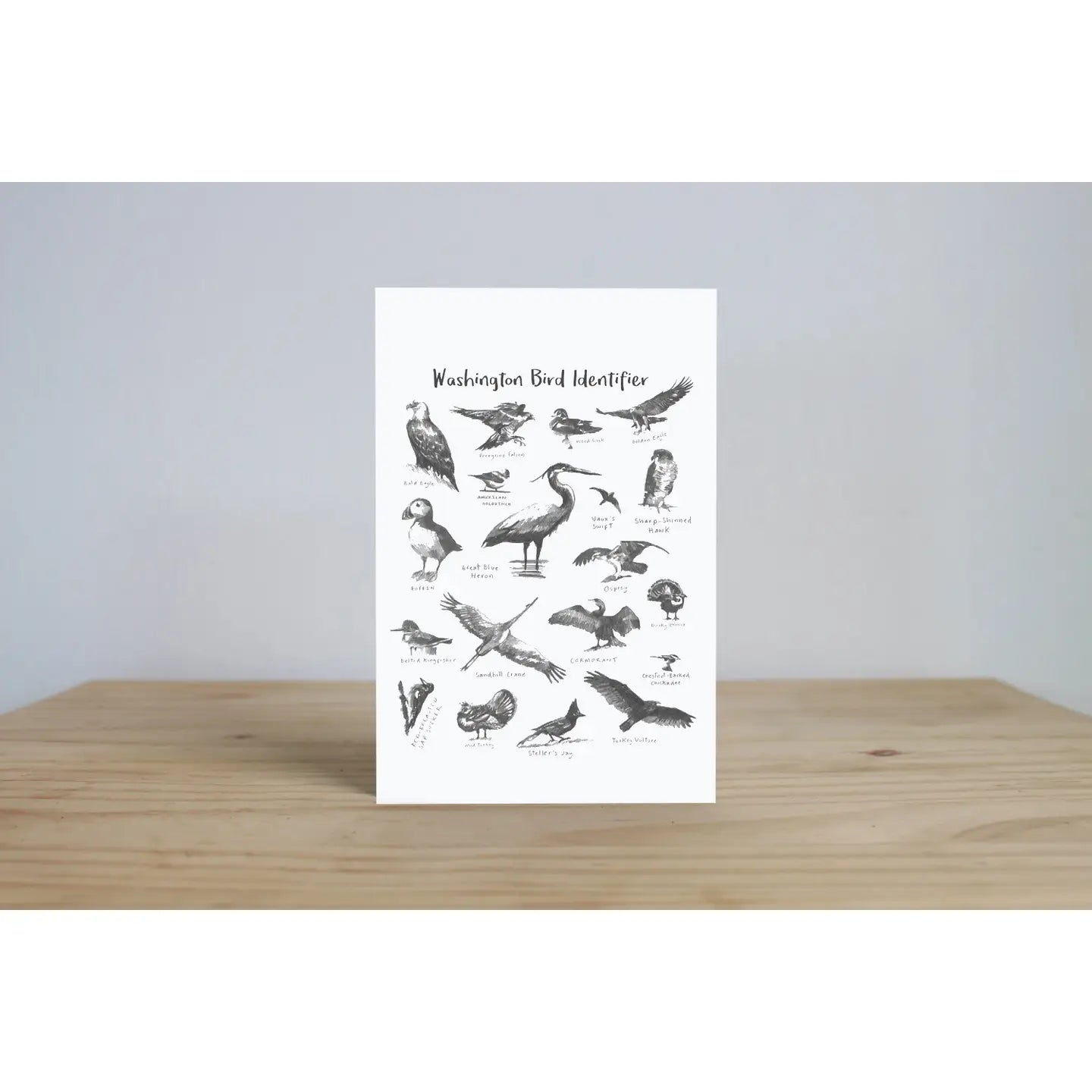 Washington Bird Identifier Postcards