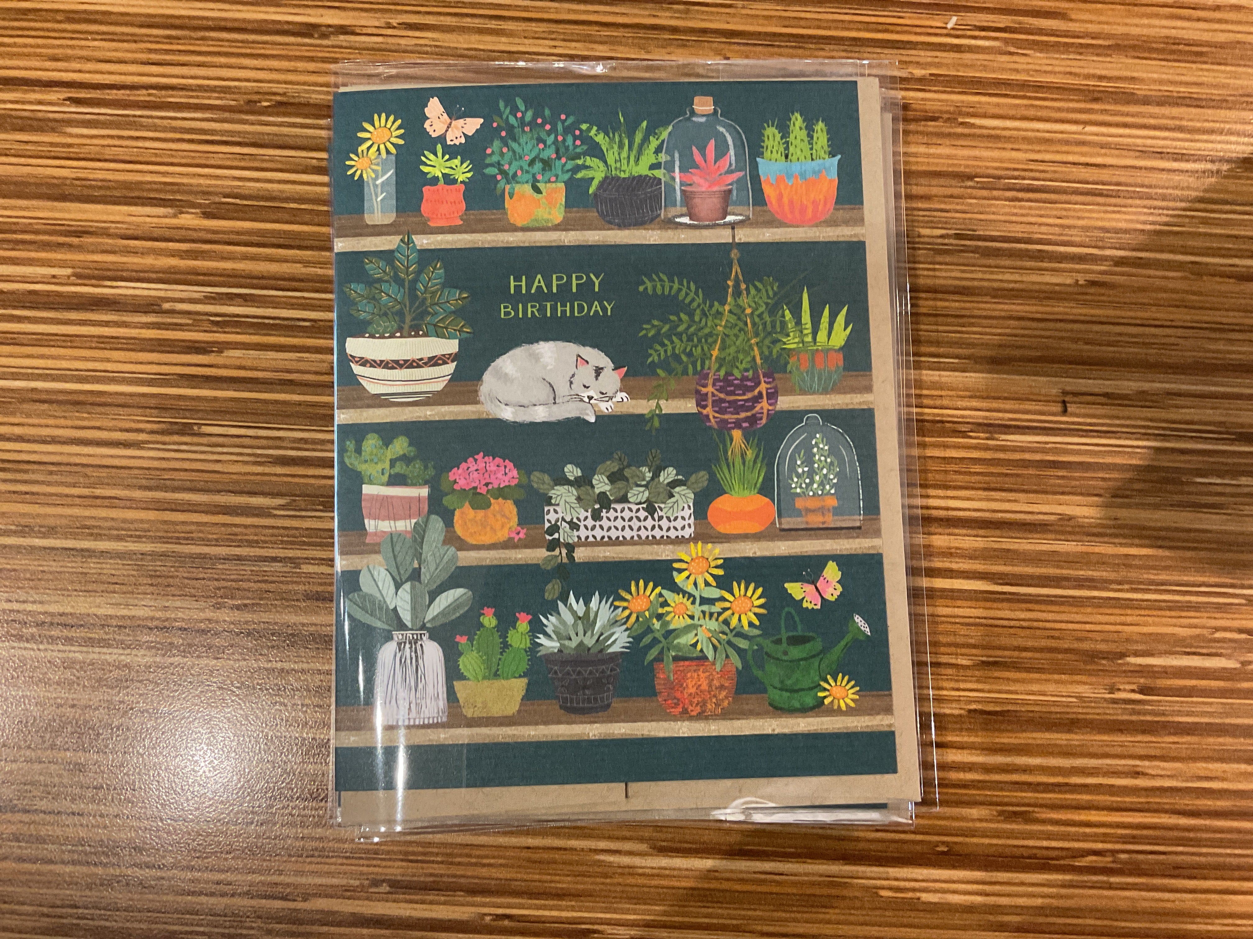 Happy Birthday Cat On Shelf Card