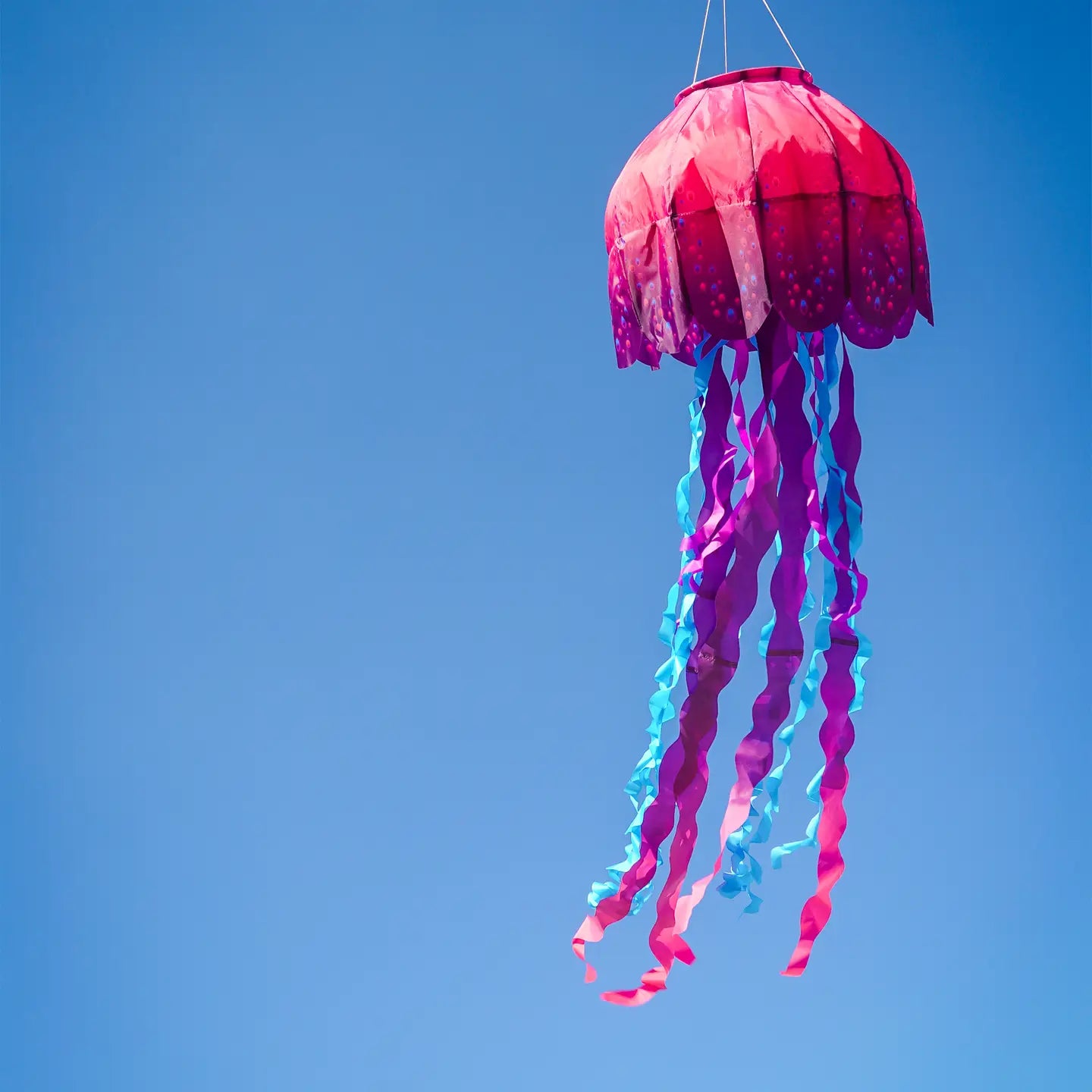Jellyfish Big Breeze Windsock Kite