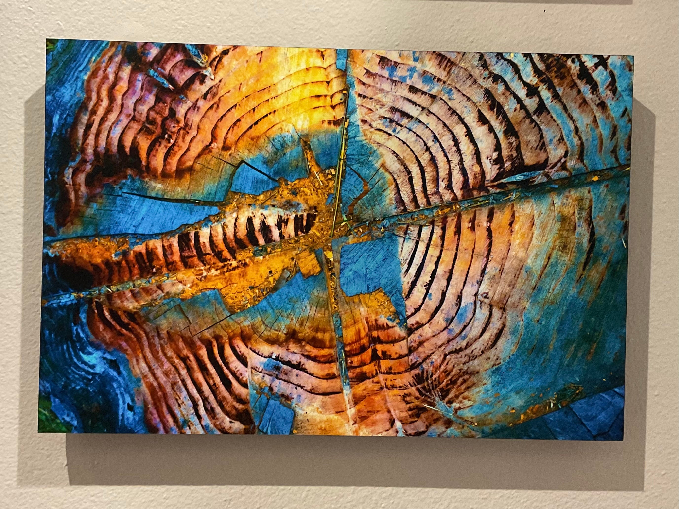 Tree Cut by Cliff Crutchfield