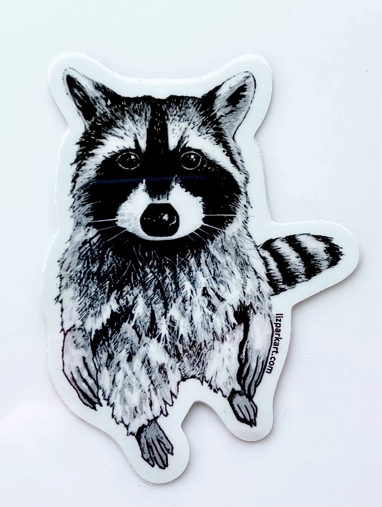 Raccoon Sticker