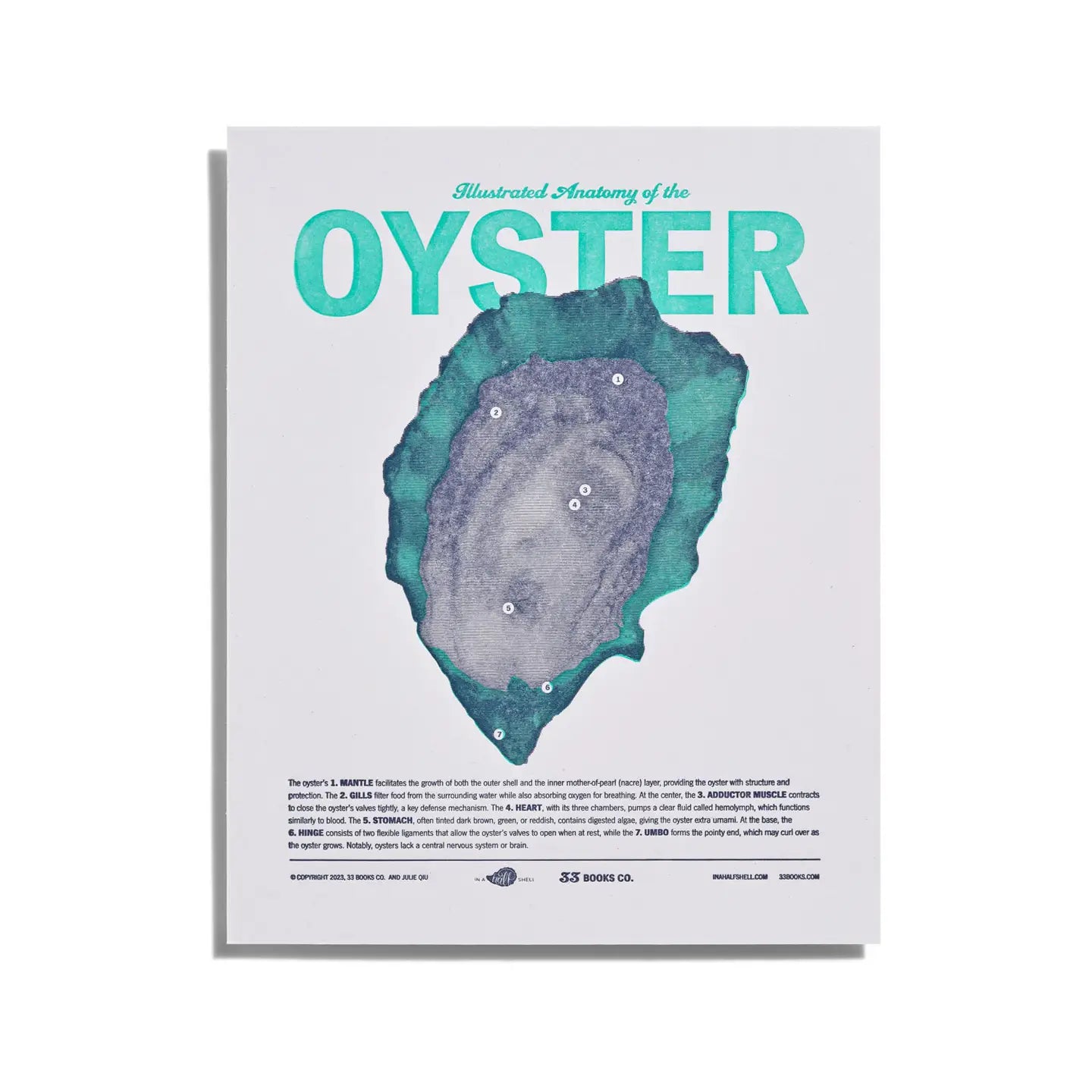 Anatomy of the Oyster Print