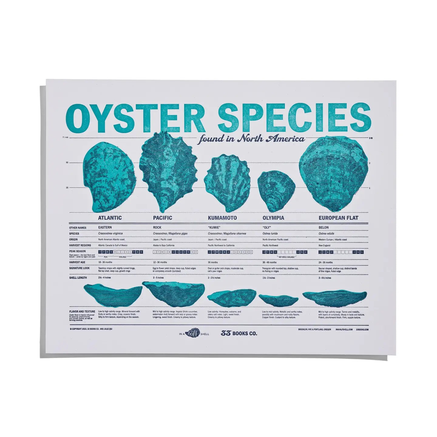 Oyster Print