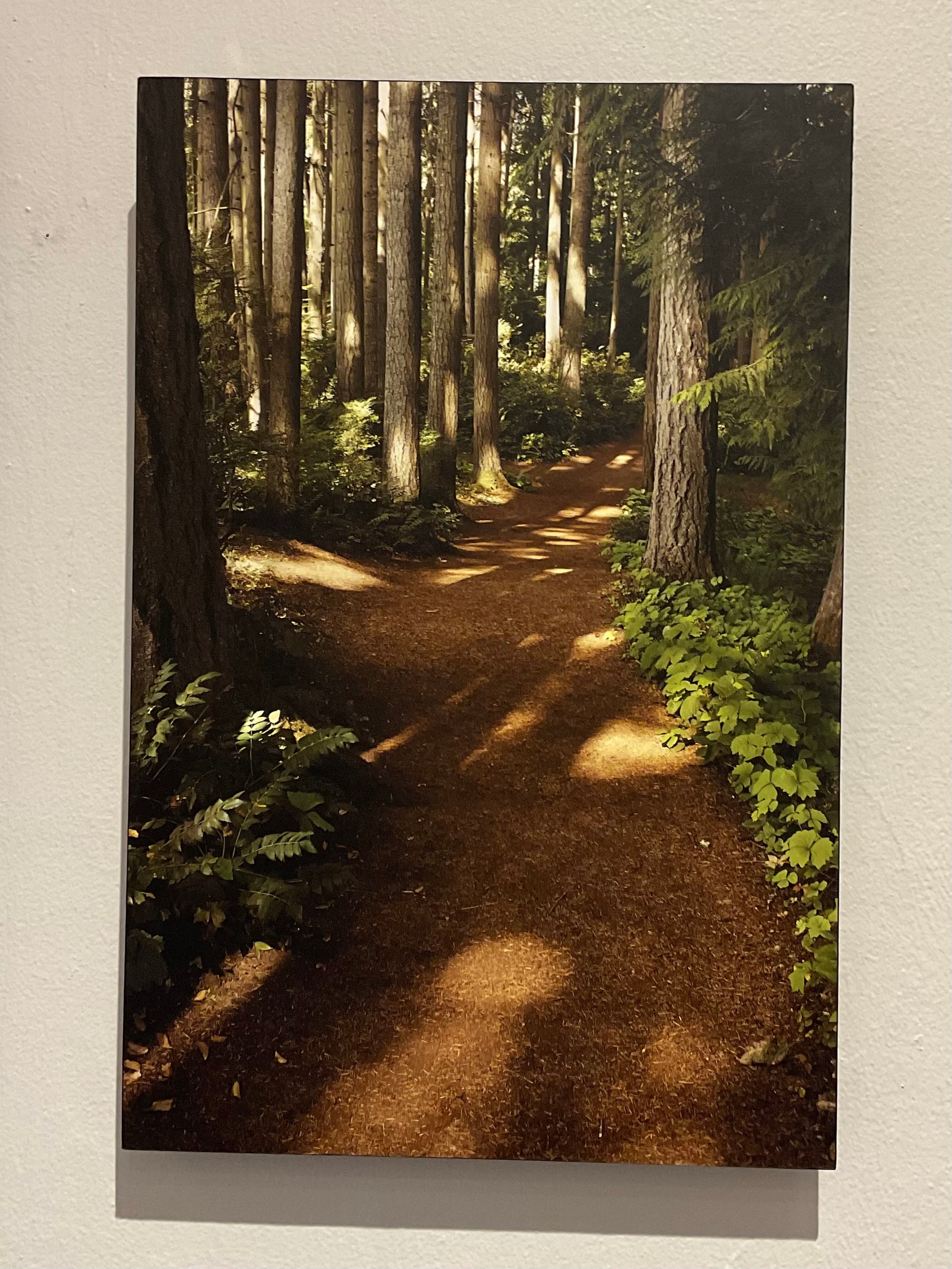 Path with Dapple by Cliff Crutchfield