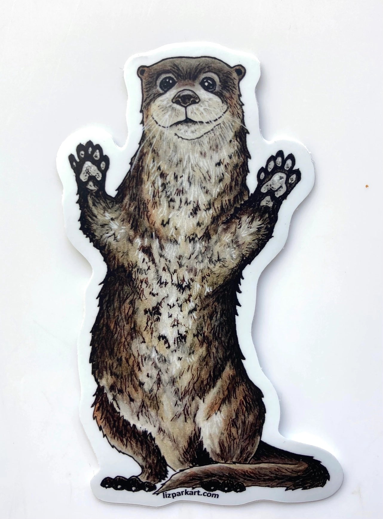 Otter Sticker