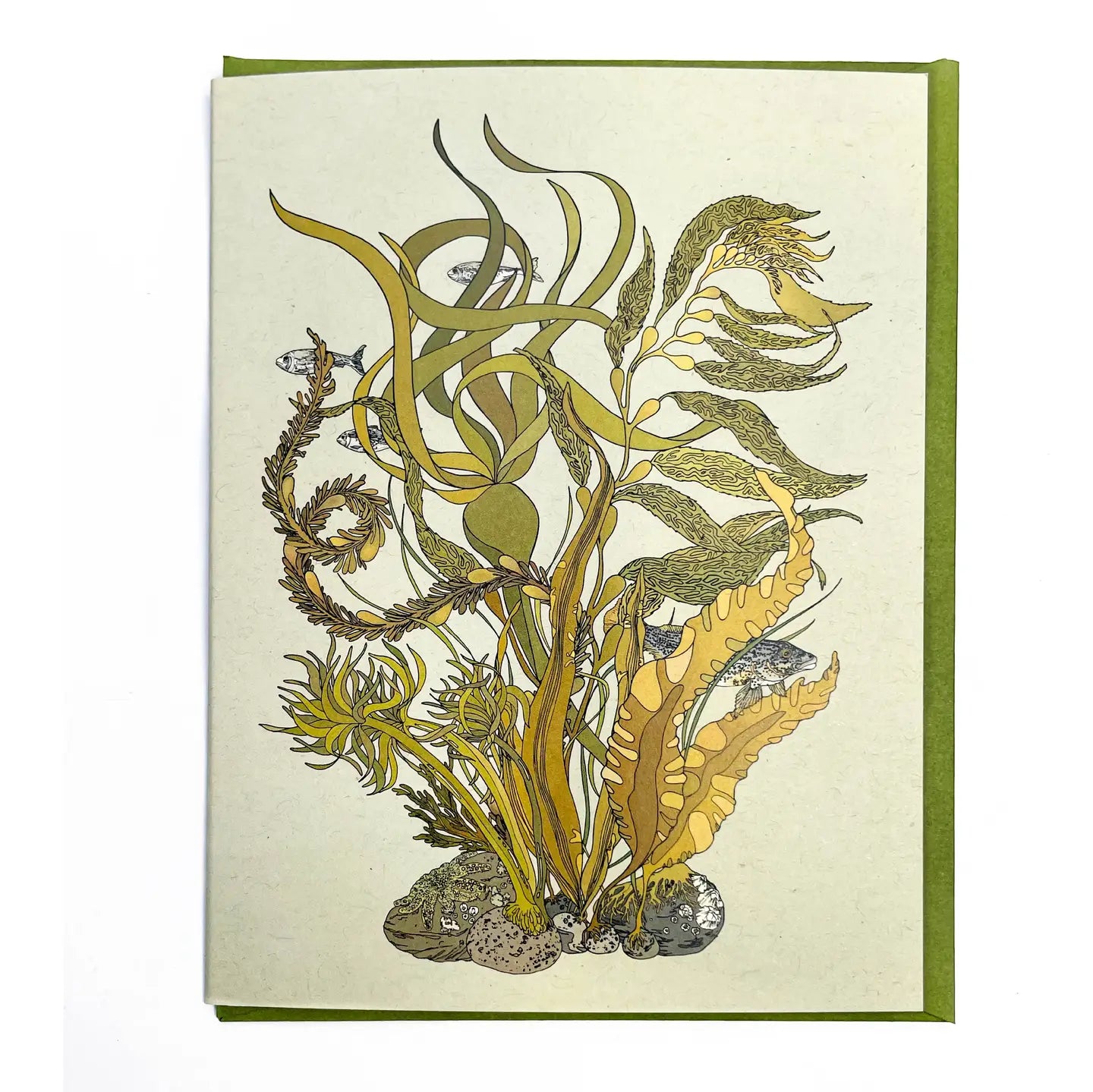 Kelp Bouquet Card