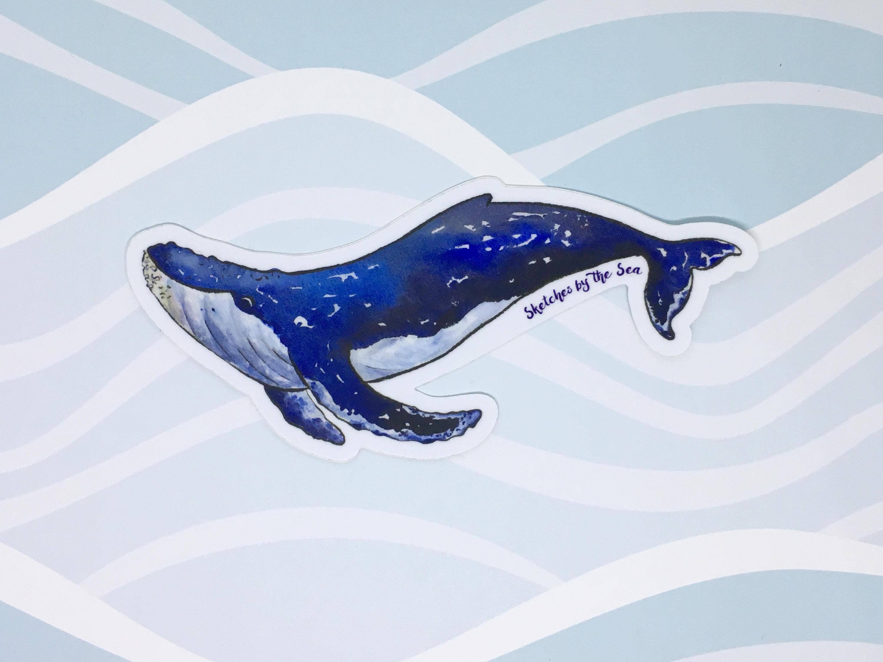 Humpback Whale Sticker