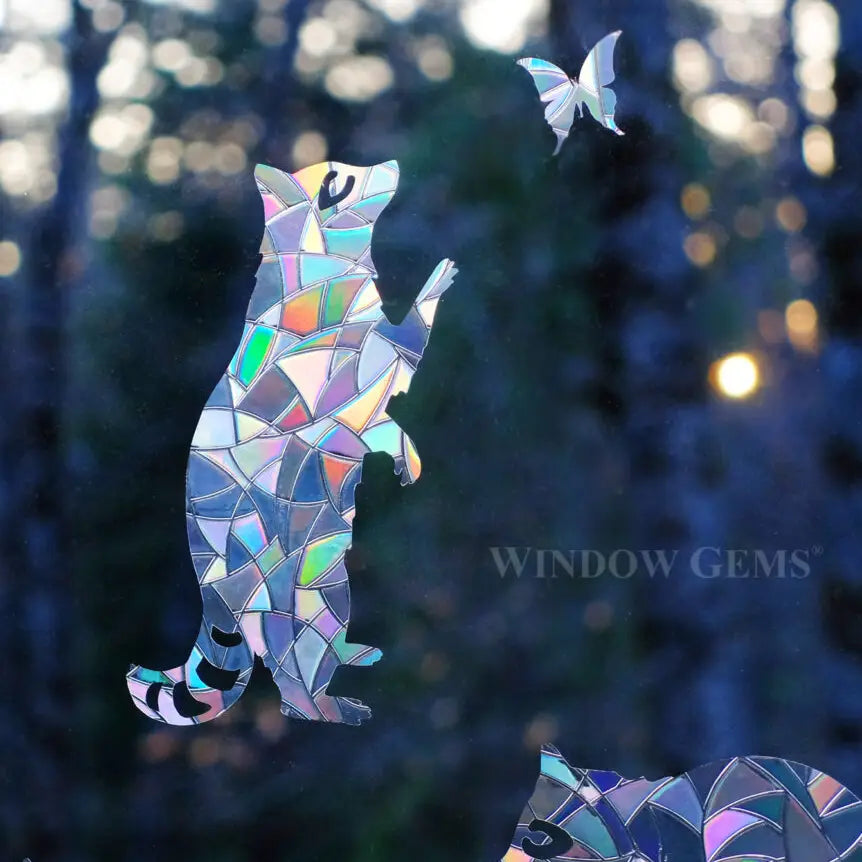 Racoon Window Gems