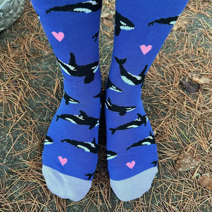 Orca Whale Socks