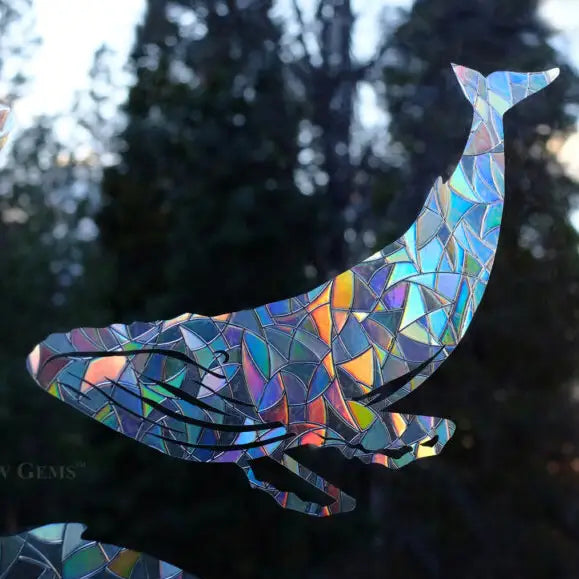 Humpback Whale Window Gems
