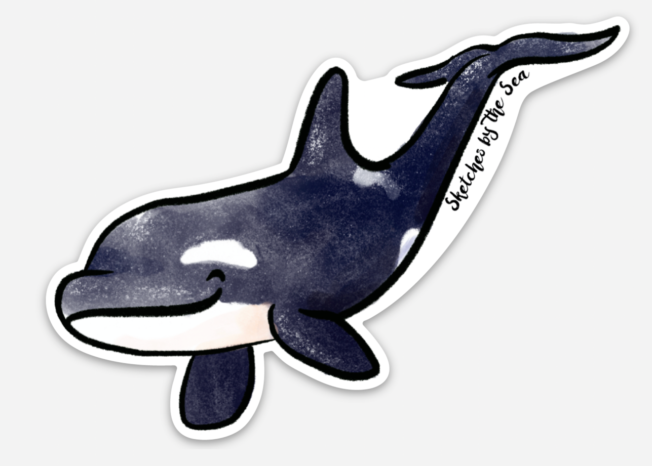 NEW Orca/Killer Whale Sticker