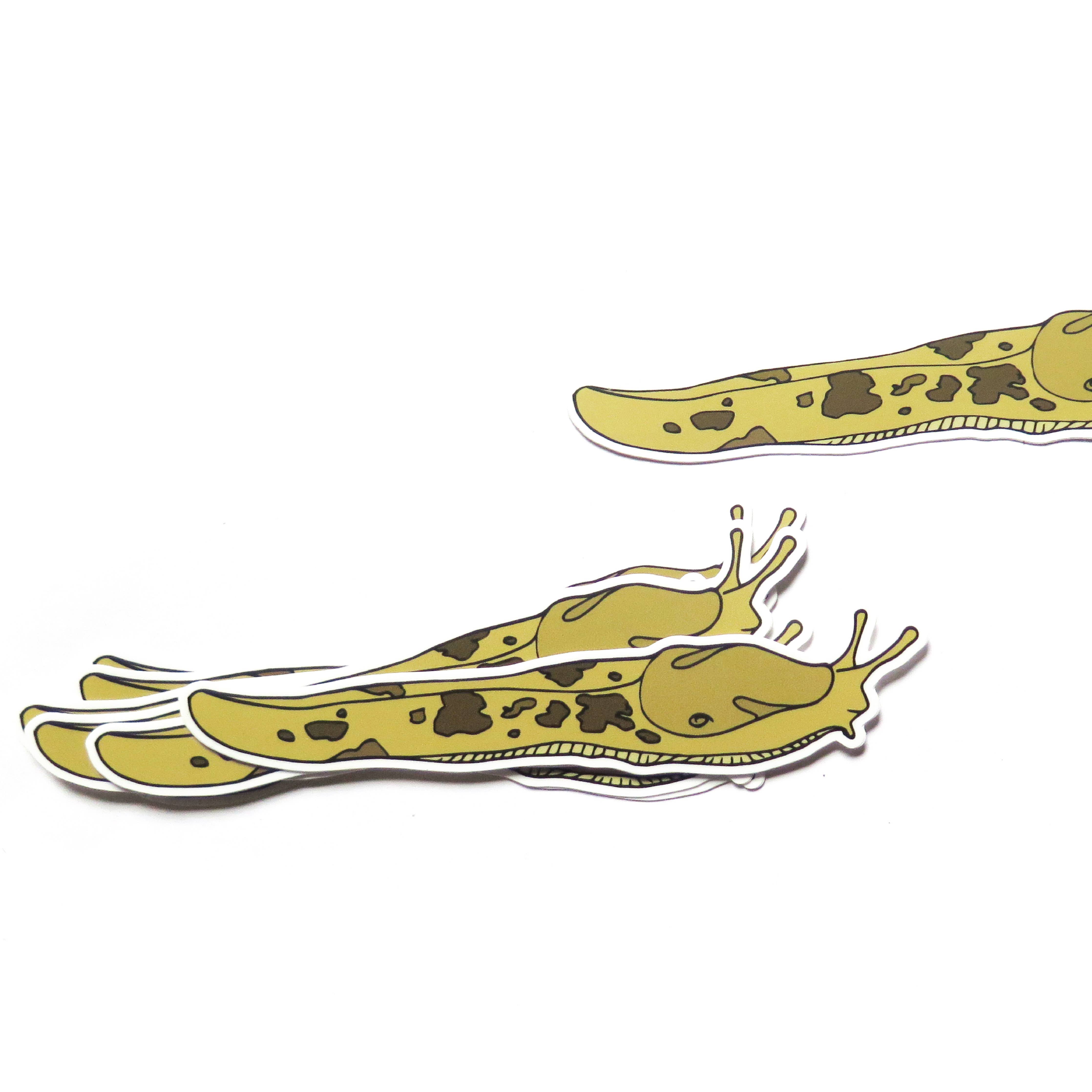 large slug sticker