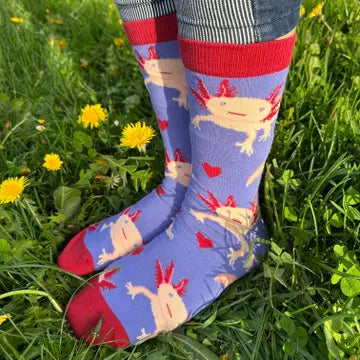 Axolotl Socks