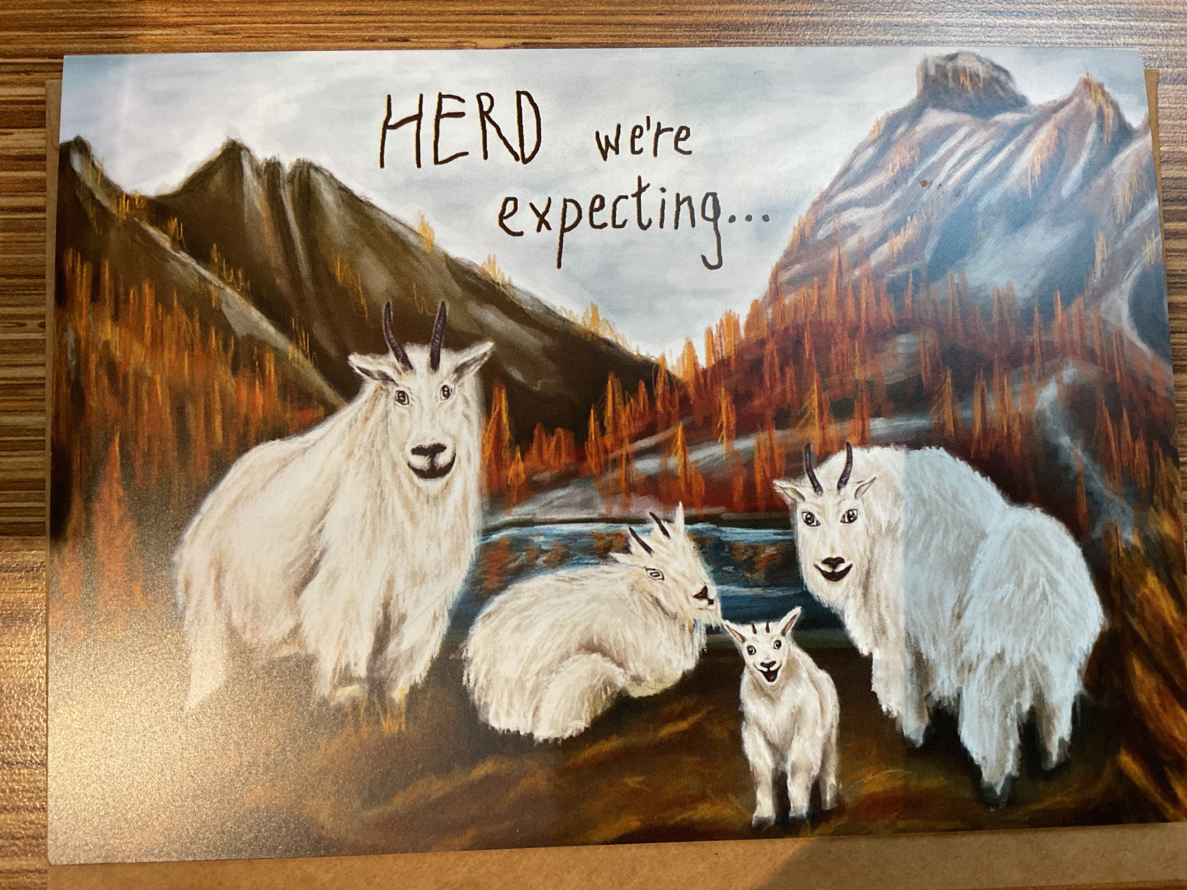 Herd We're Expecting