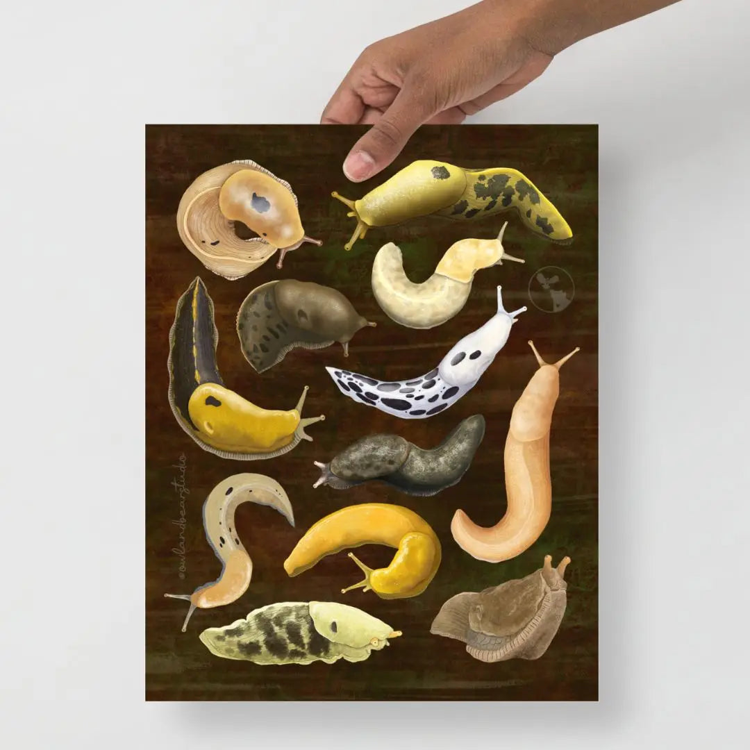 A Dozen Banana Slugs Poster