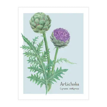 Artichoke Card- Botanical Vegetable Everyday Greeting Card