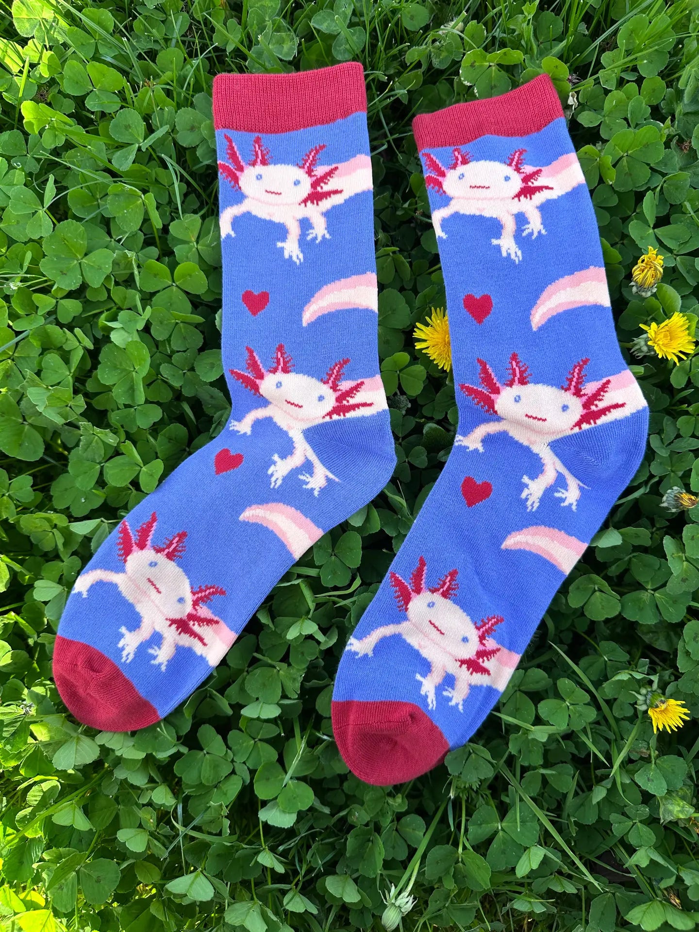 Axolotl Socks