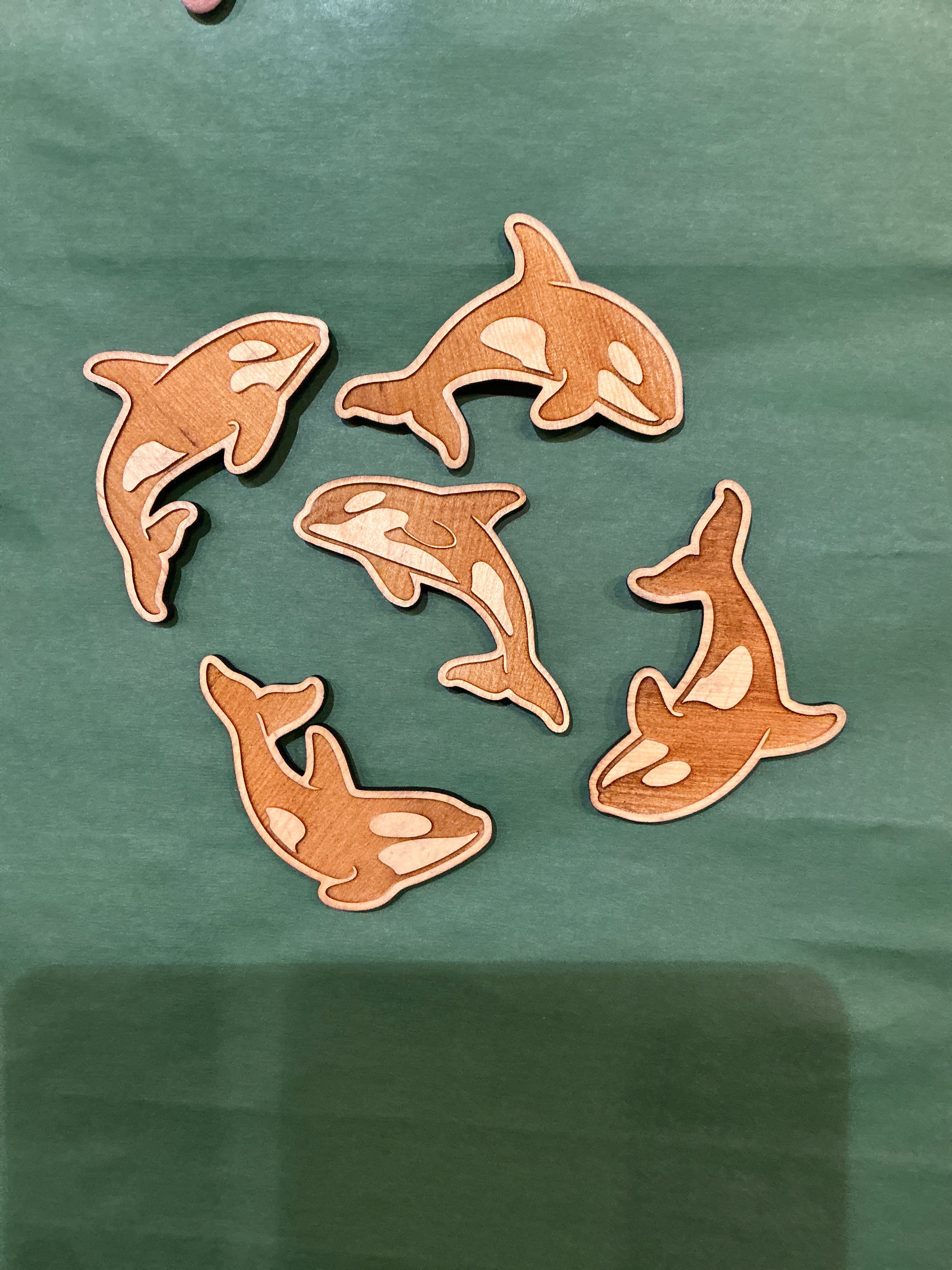 Wooden Orca Magnet