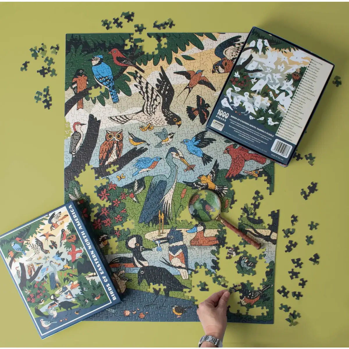 Birds of Eastern North America (1,000 Piece Puzzle)