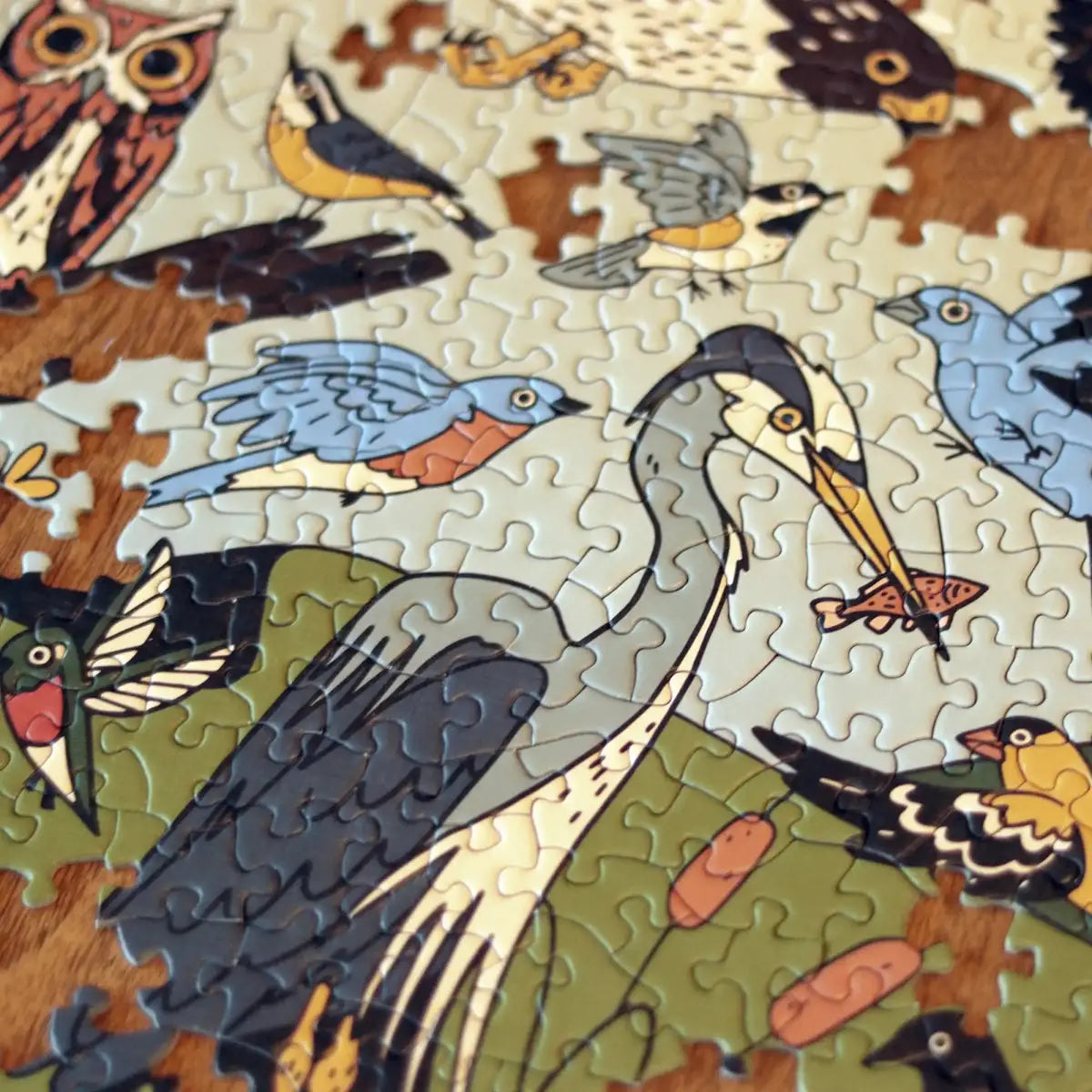 Birds of Eastern North America (1,000 Piece Puzzle)
