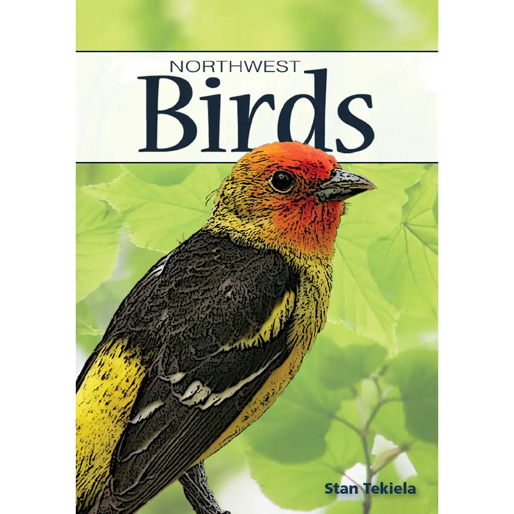 Birds of Northwest Playing Cards