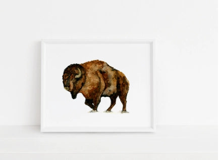 Buffalo Art Print