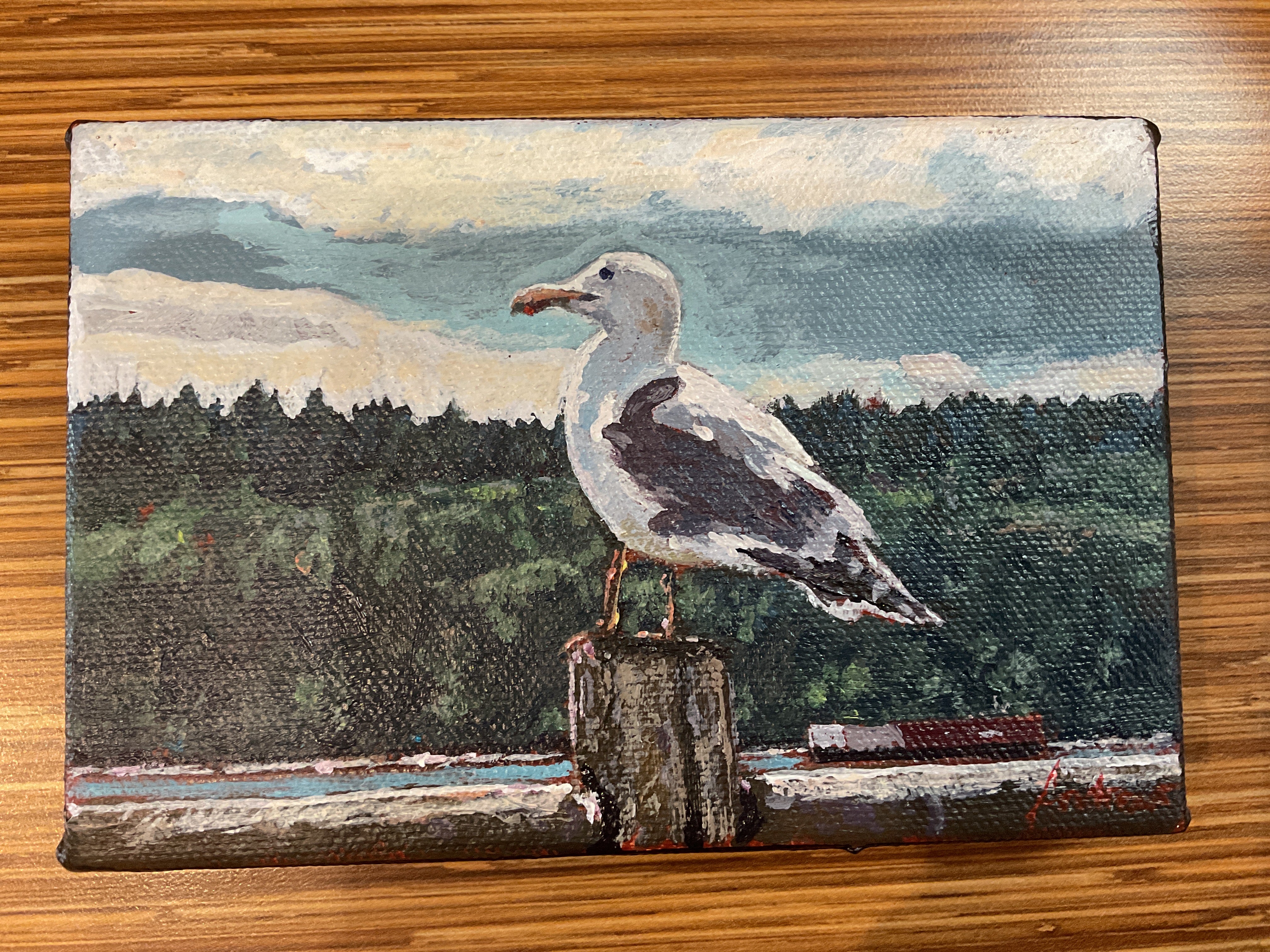 Seagull  By Andrew Sheldon