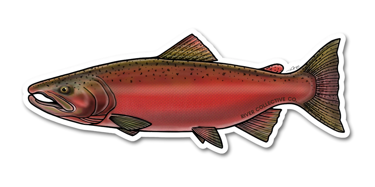 CHINOOK SALMON DECAL (SPAWN) Sticker