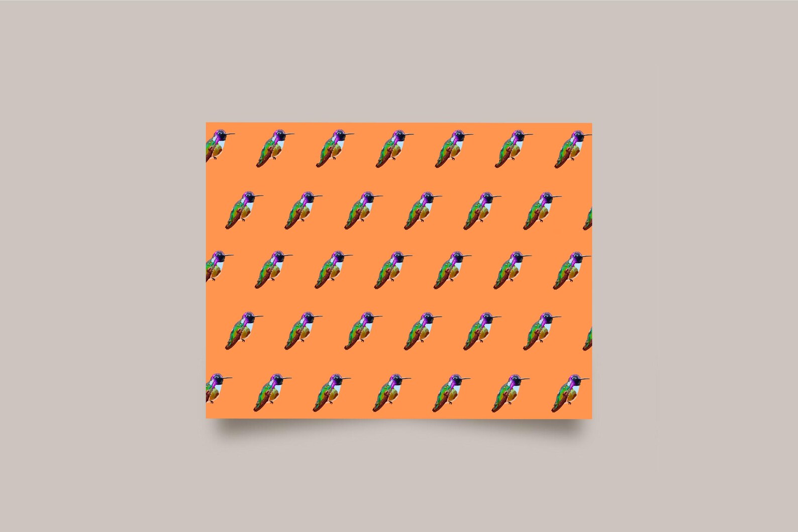 Calliope Hummingbird Card