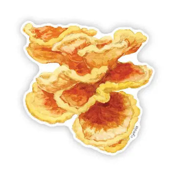 Chicken-of-the-Woods Mushrooms - Watercolor Mushroom Sticker