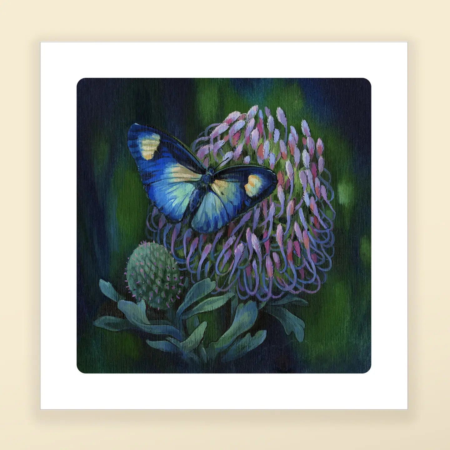 5x5 Fine Art Prints By Nimasprout