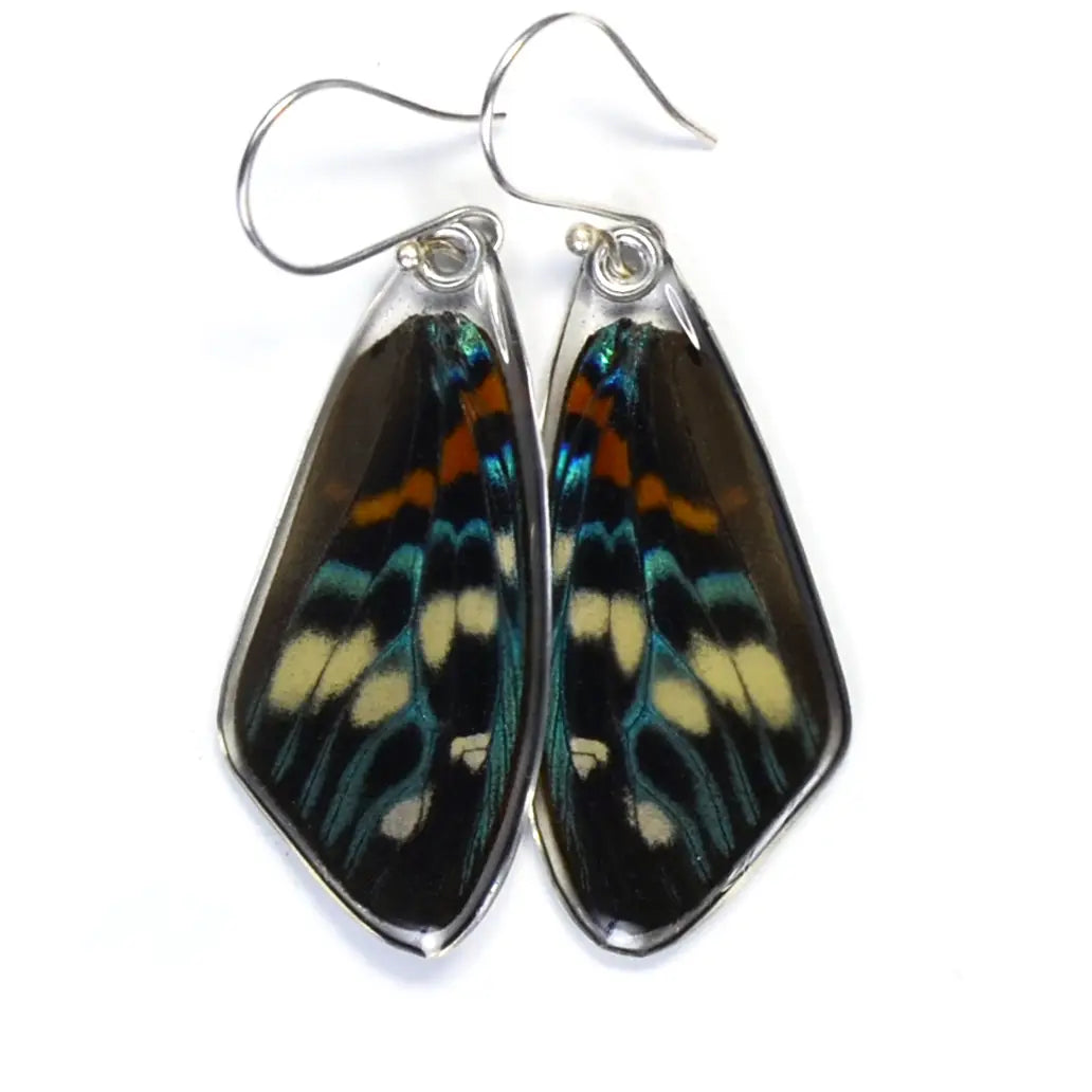 Erasmia Pulchera - Day Flying Moth- Butterfly Earrings