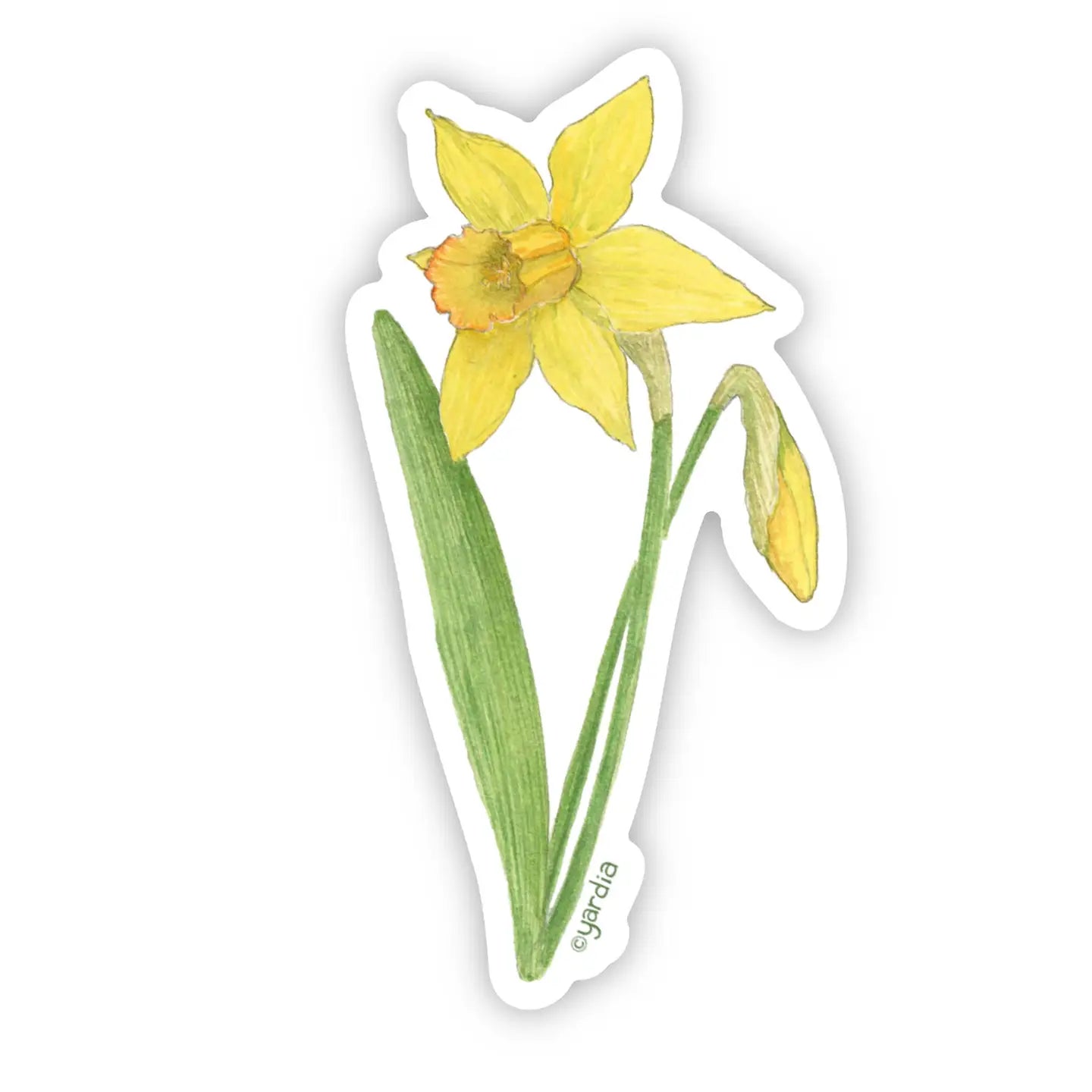 Daffodil Vinyl Sticker