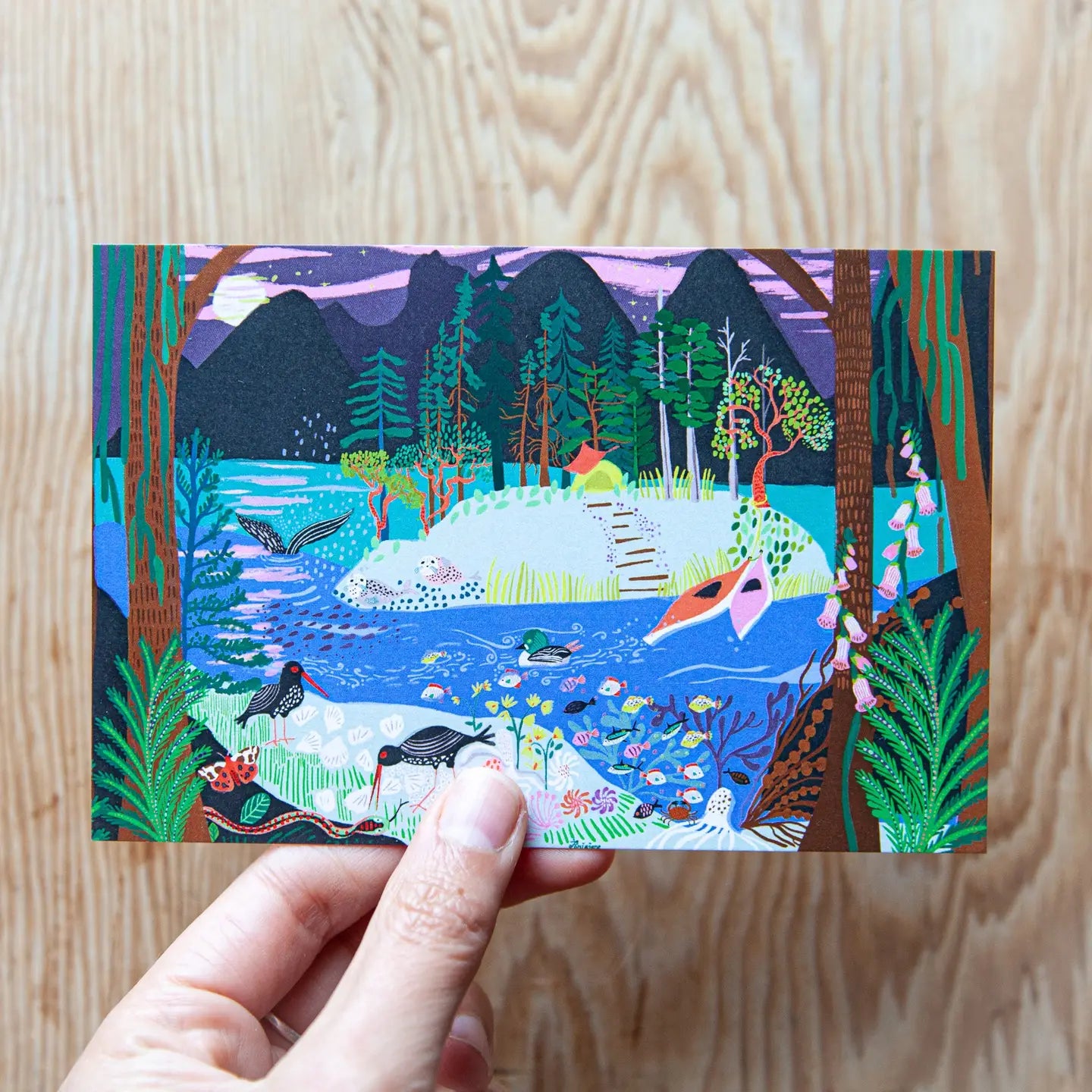 Desolation Sound Postcard | Anja Jane