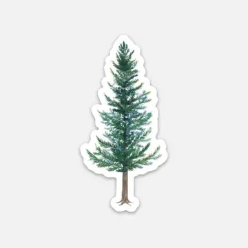 Douglas Fir Vinyl Sticker