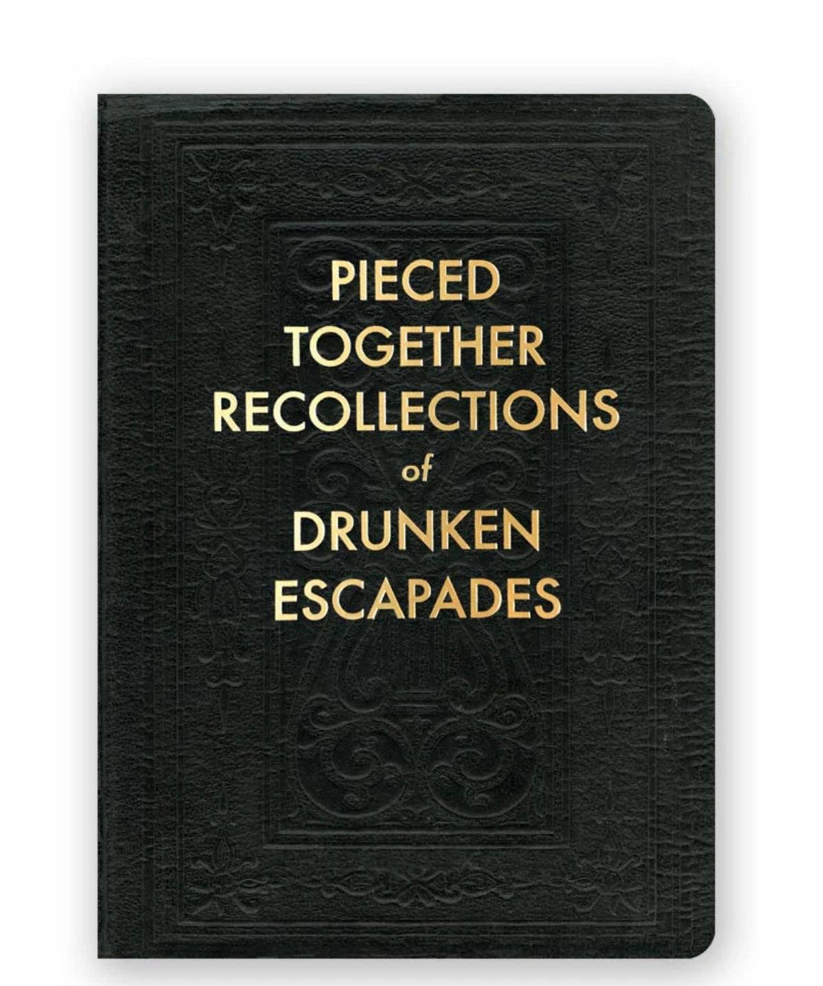 Pieced Together Recollections of Drunken Escapades Journal