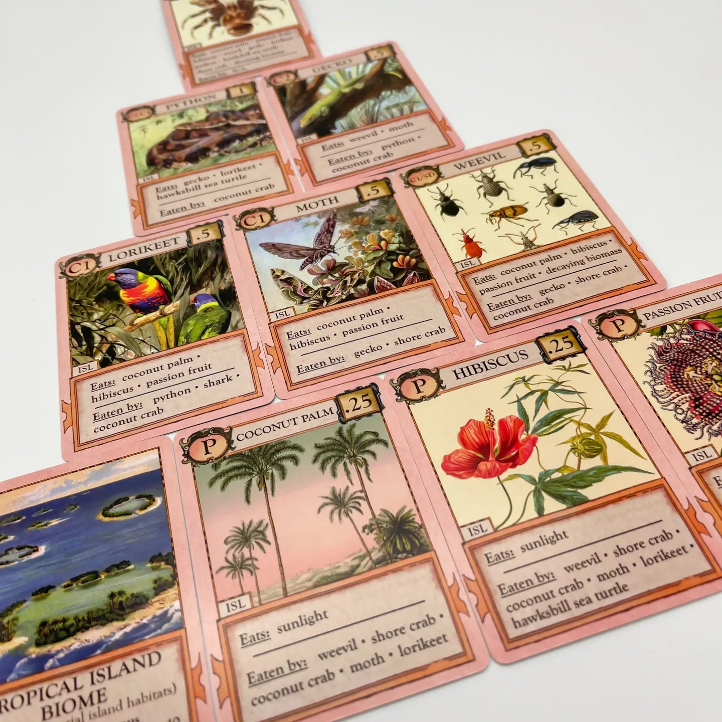 Ecologies: Hidden Habitats Card Game