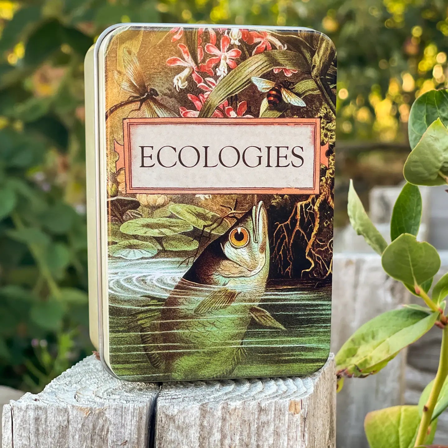 Ecologies Card Game Metal Tin - Archerfish Image