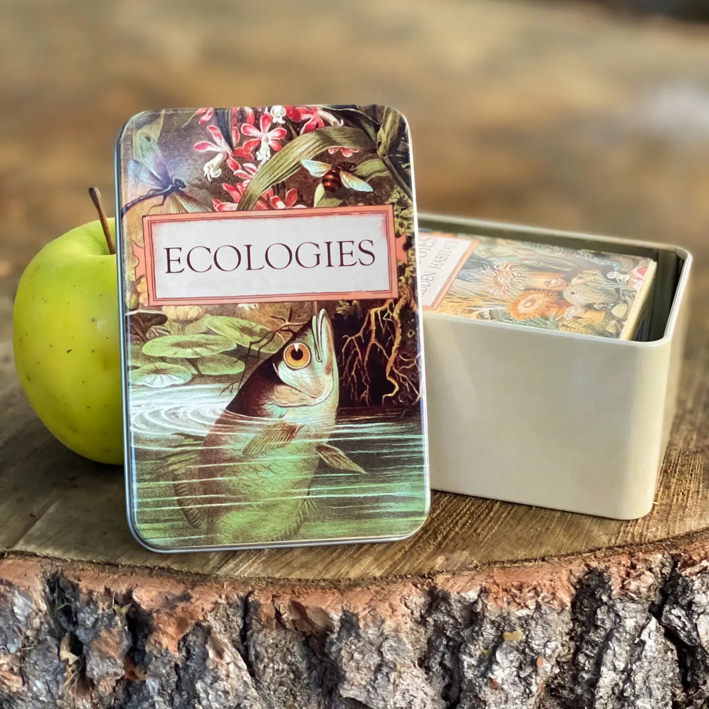 Ecologies Card Game Metal Tin - Archerfish Image