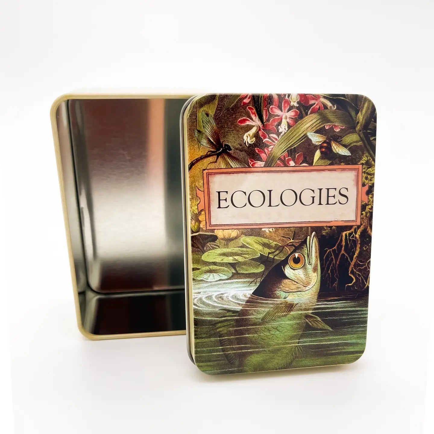 Ecologies Card Game Metal Tin - Archerfish Image