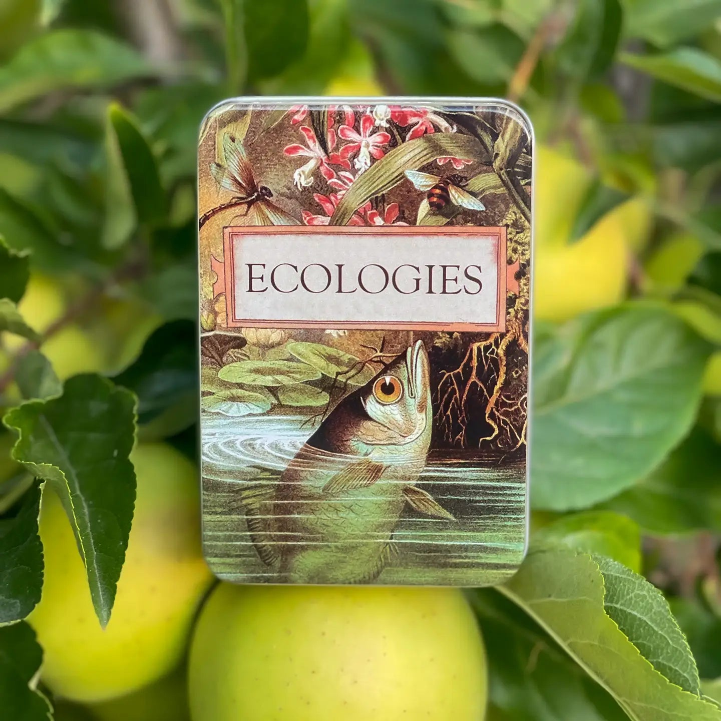 Ecologies Card Game Metal Tin - Archerfish Image