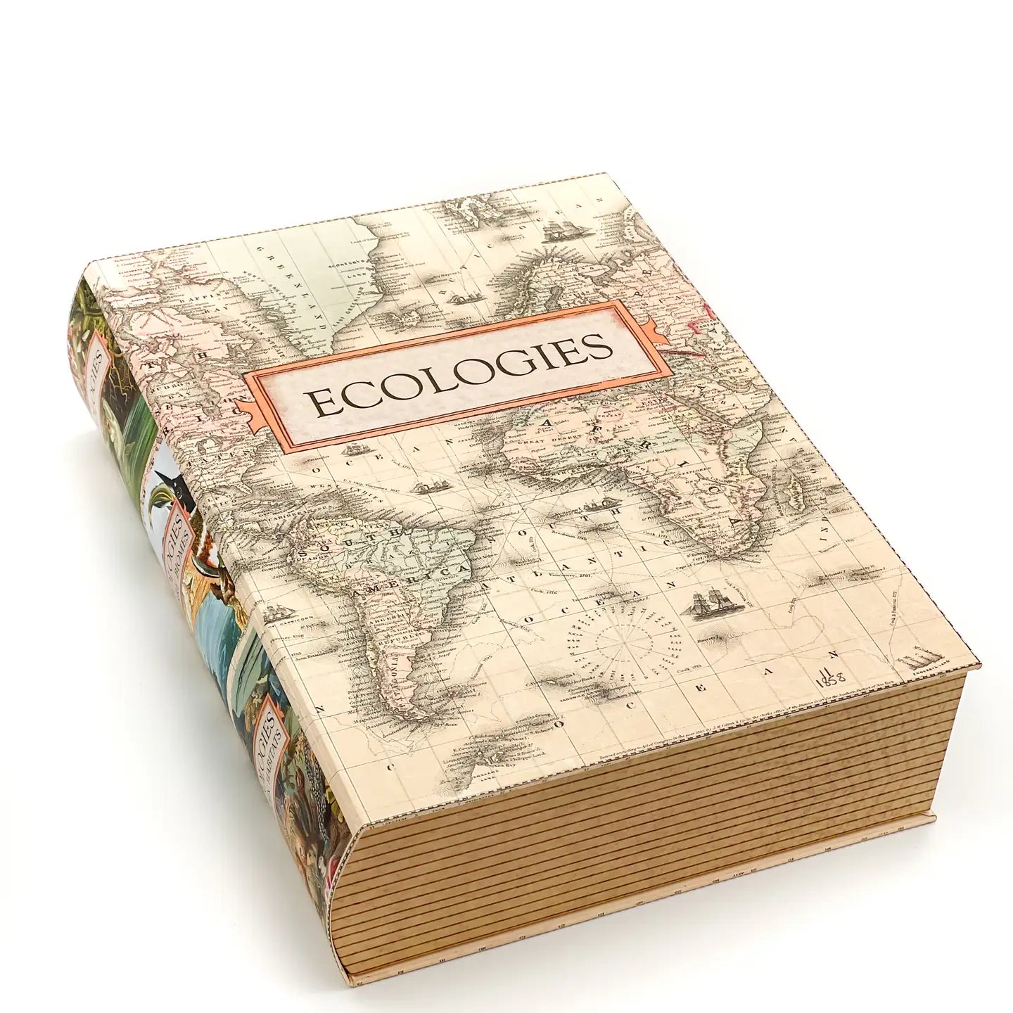 Ecologies Faux Book Box Container and Organizer