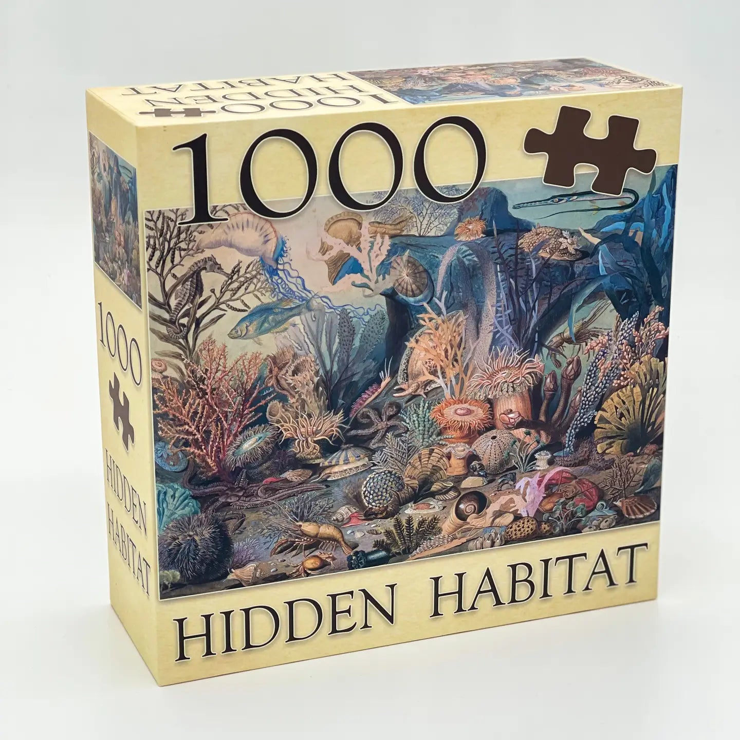 Ecologies Ocean Life Puzzle - Hidden Habitat