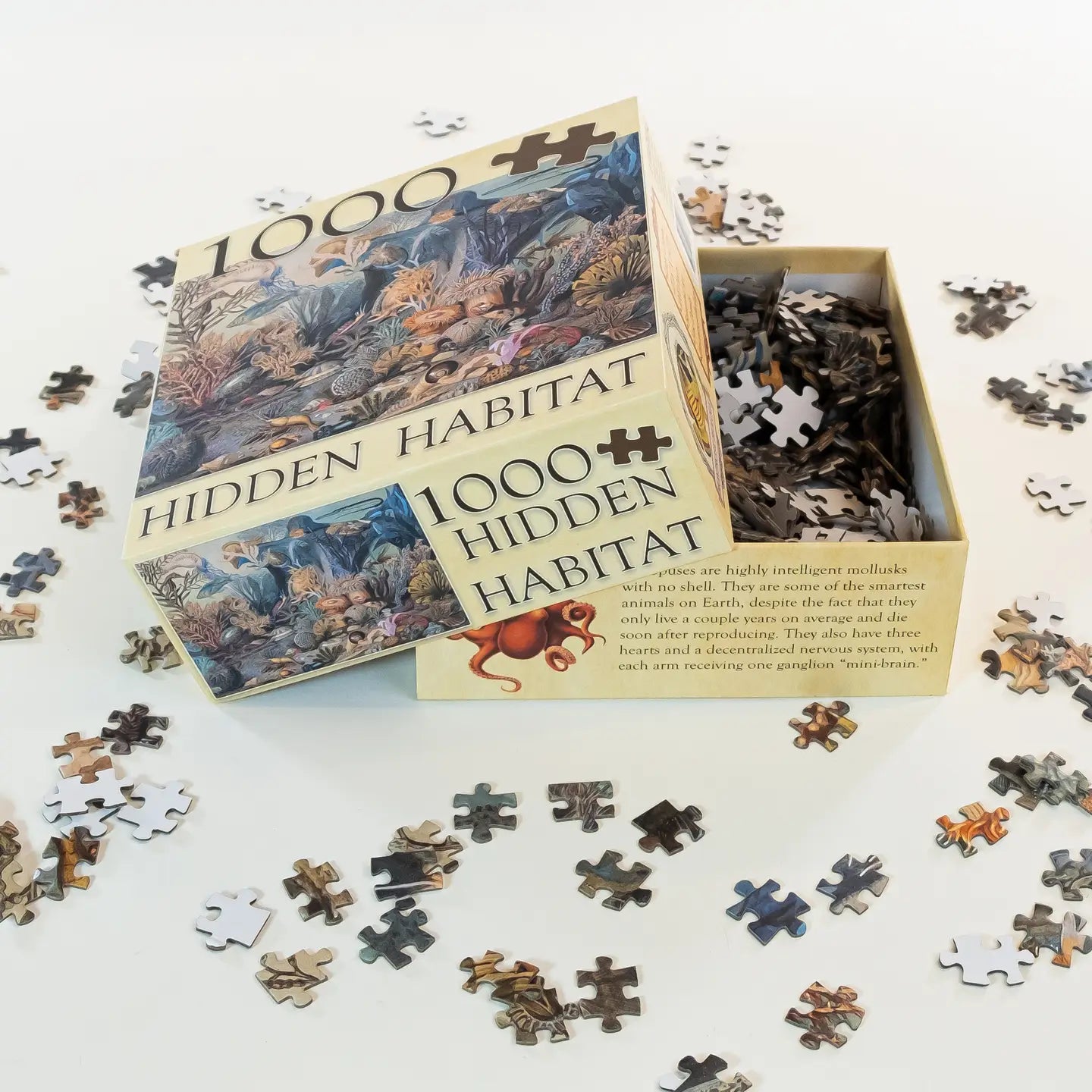 Ecologies Ocean Life Puzzle - Hidden Habitat