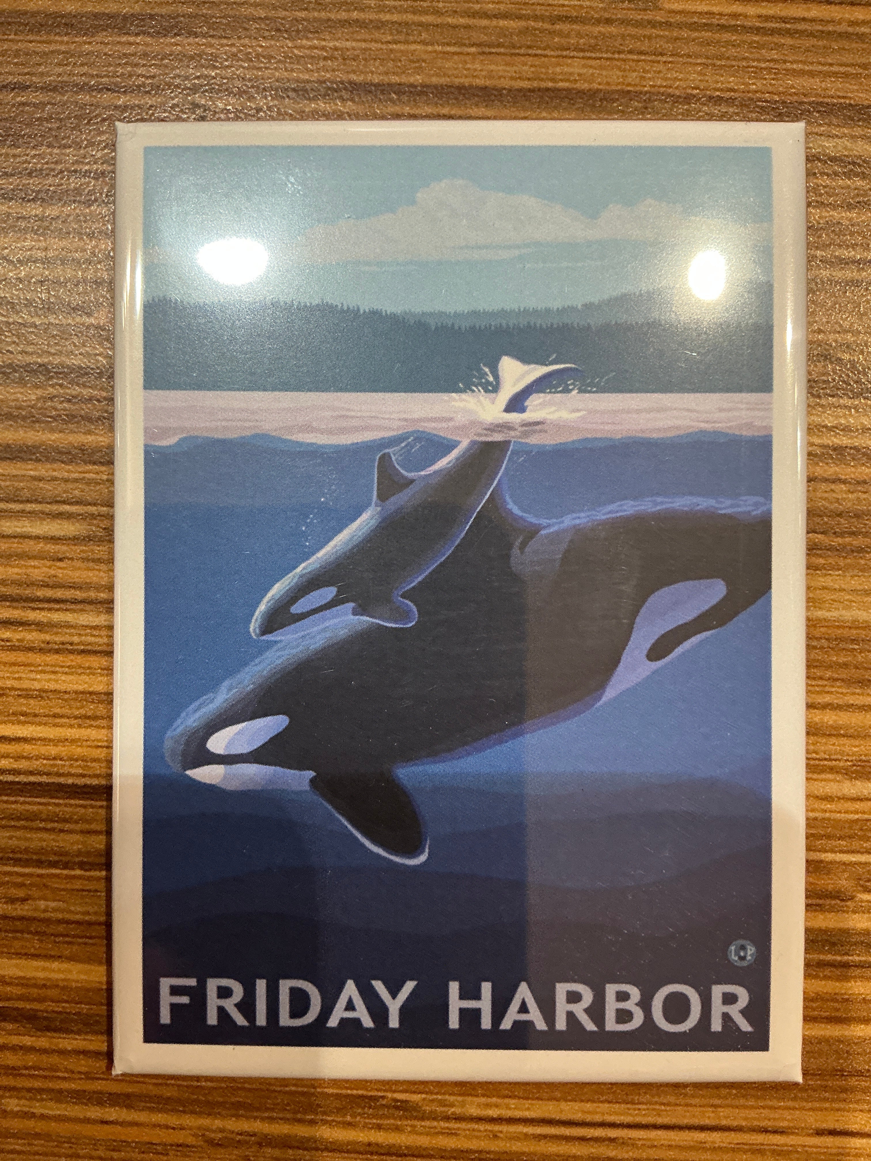 Friday Harbor Orca Magnet